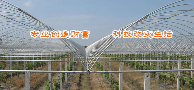 test5