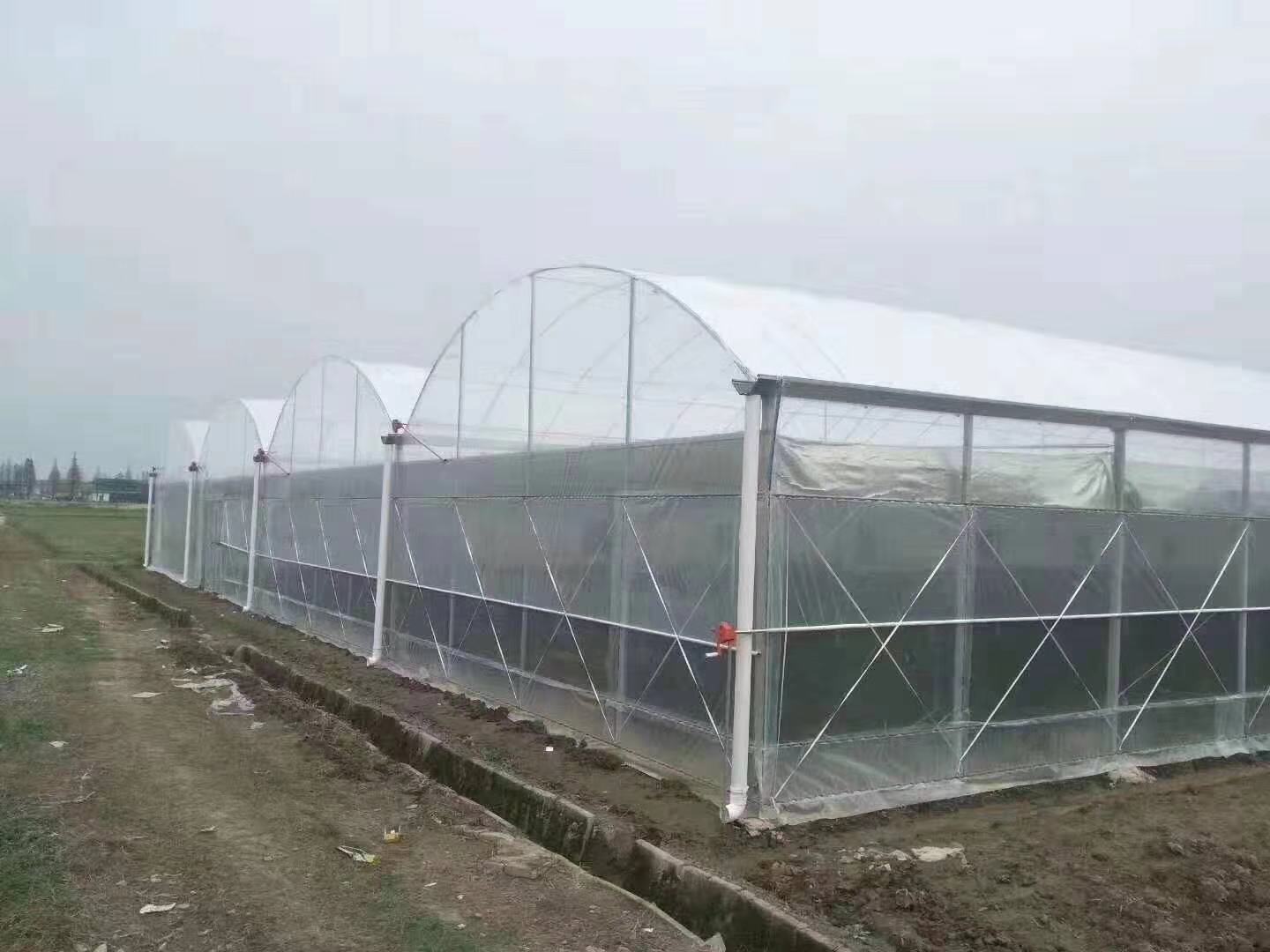 蔬菜大棚管理中须采取的防雨措施