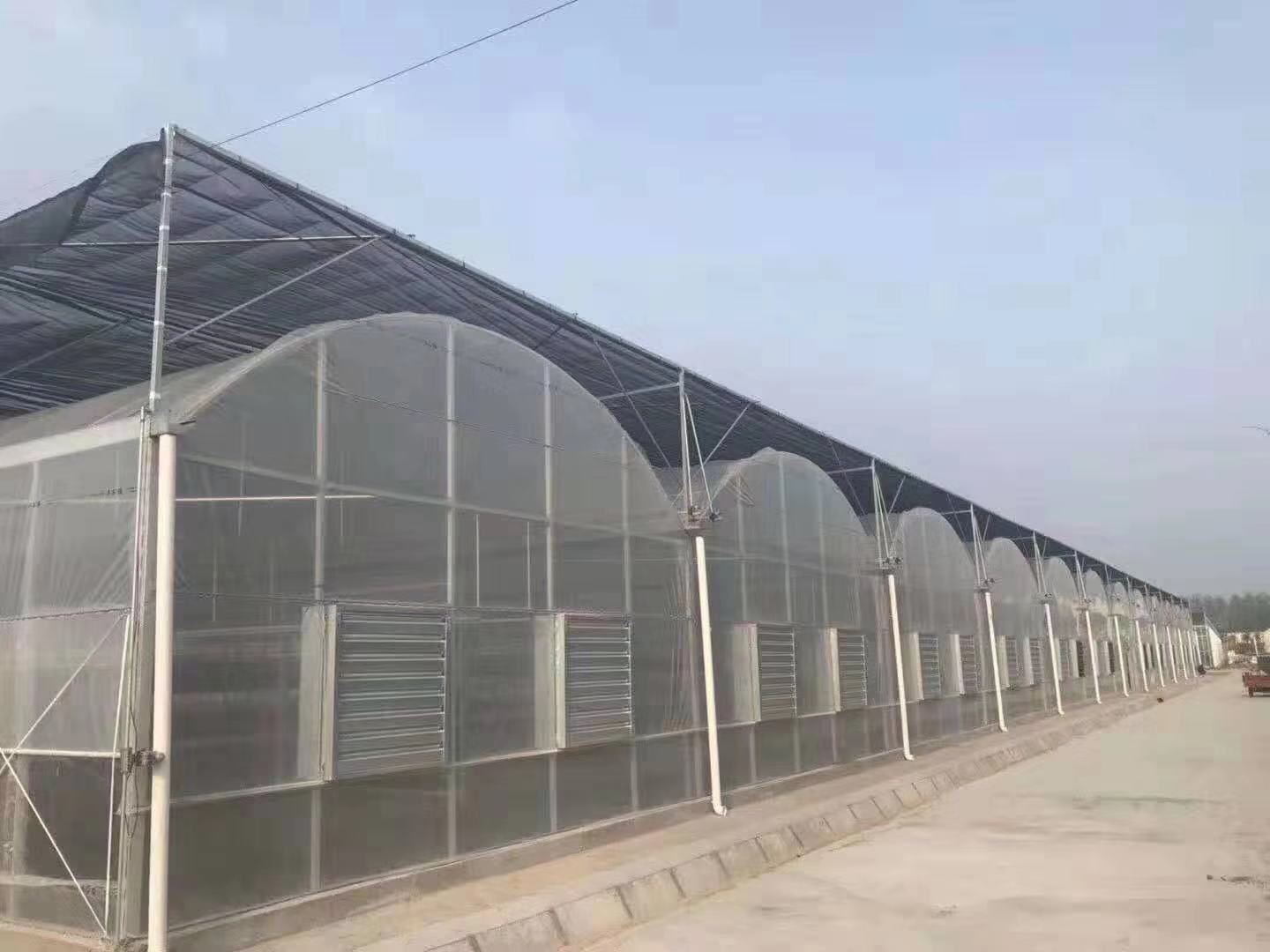 蔬菜大棚中遮阳网和喷雾降温设备的合理运用