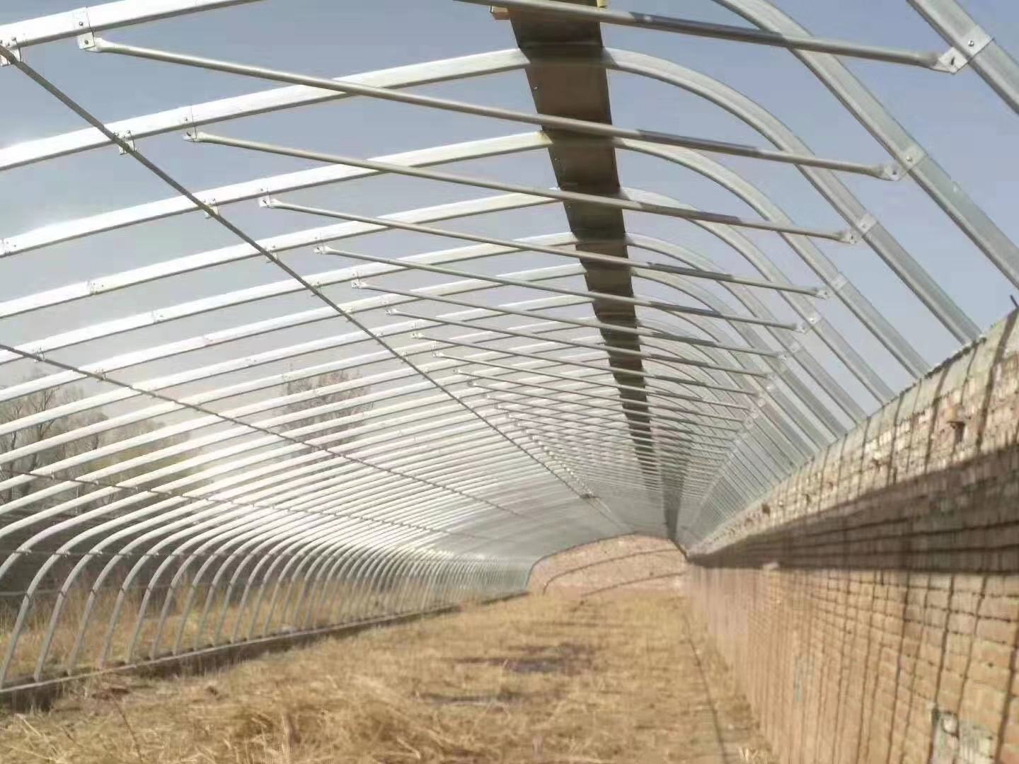 农用大棚安装防虫网的好处以及它对通风的影响